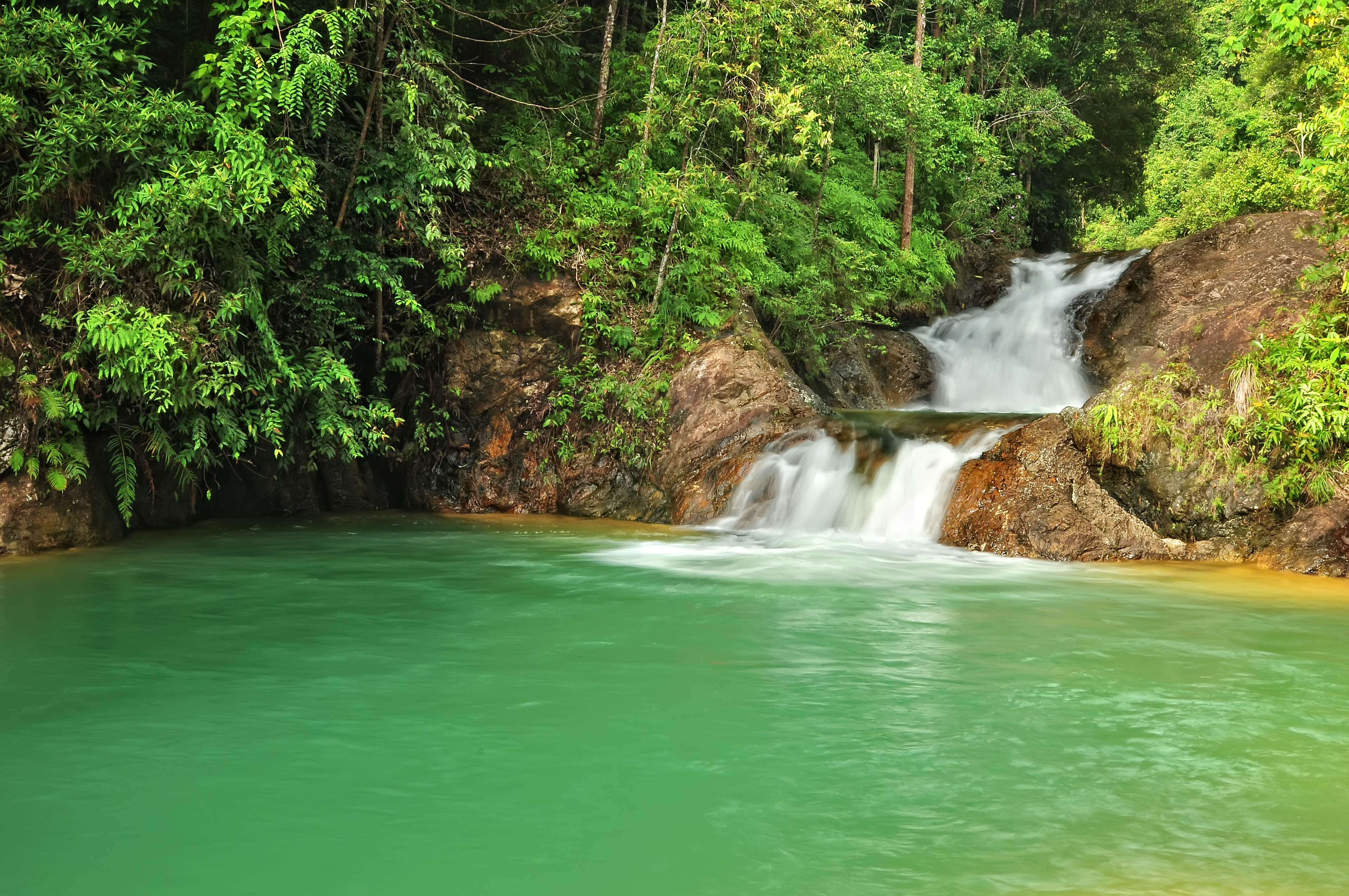 Taman Eko Rimba Jerangkang - Jabatan Perhutanan 